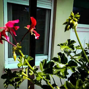 https://ersek-apartman-eger.egerhotels.net